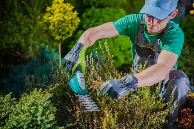 landscaping services Collinsville